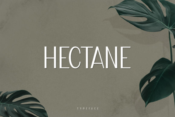 Hectane: The Modern Display Font for Campaigns