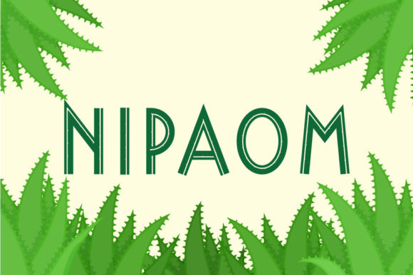 Nipaom: A Real-World Review for Branding Projects