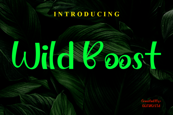 Wild Boost: A Playful Display Font for Brand Identity